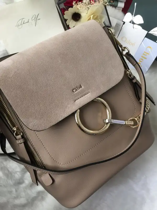 Hyperpeter CHLOÉ FAYE BACKPACK 0127