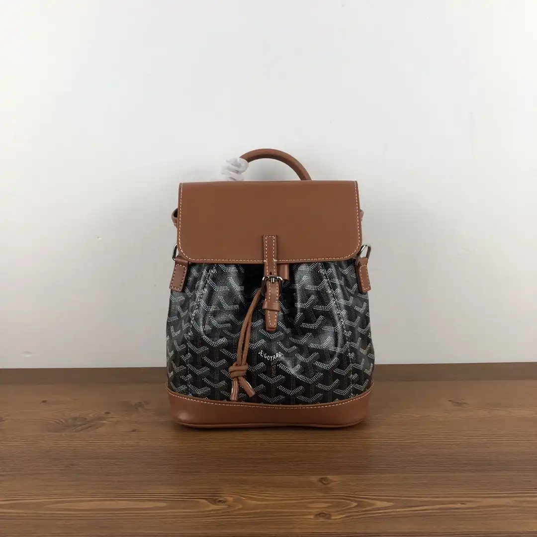 GOYARD Alpin Mini Backpack 0128