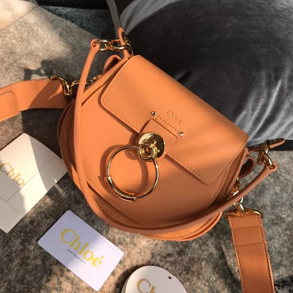 Hyper Peter CHLOÉ SMALL TESS BAG 0117