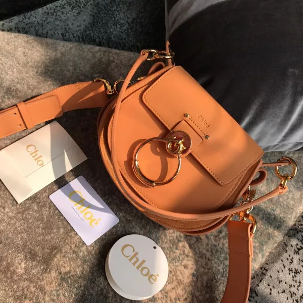 Hyper Peter CHLOÉ SMALL TESS BAG 0117