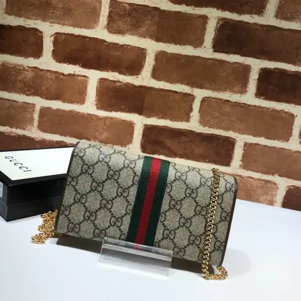 Hyperpeter GUCCI Ophidia GG chain wallet 0124