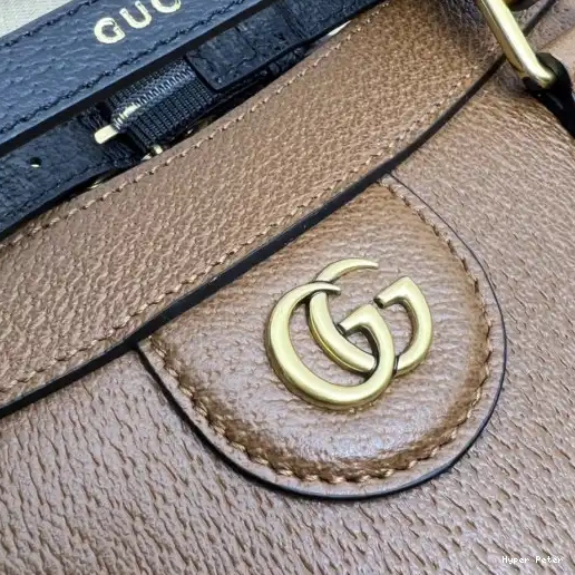 Hyperpeter Diana tote Gucci bag medium 0210