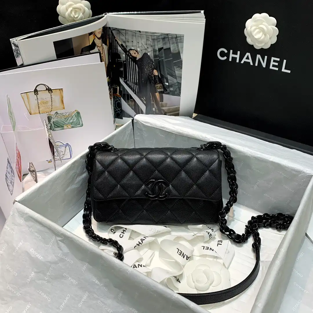 Hyper Peter CHANEL SMALL FLAP BAG 0205