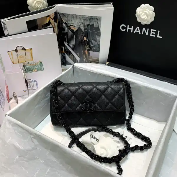 Hyper Peter CHANEL SMALL FLAP BAG 0205