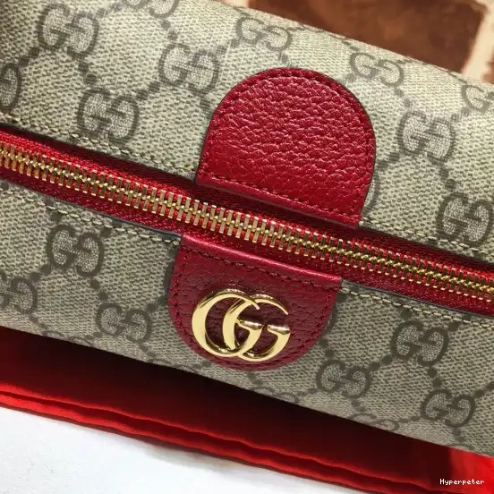 Hyper Peter case Ophidia GUCCI GG cosmetic 0216