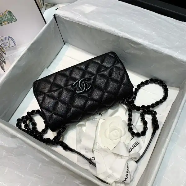 Hyper Peter CHANEL SMALL FLAP BAG 0205