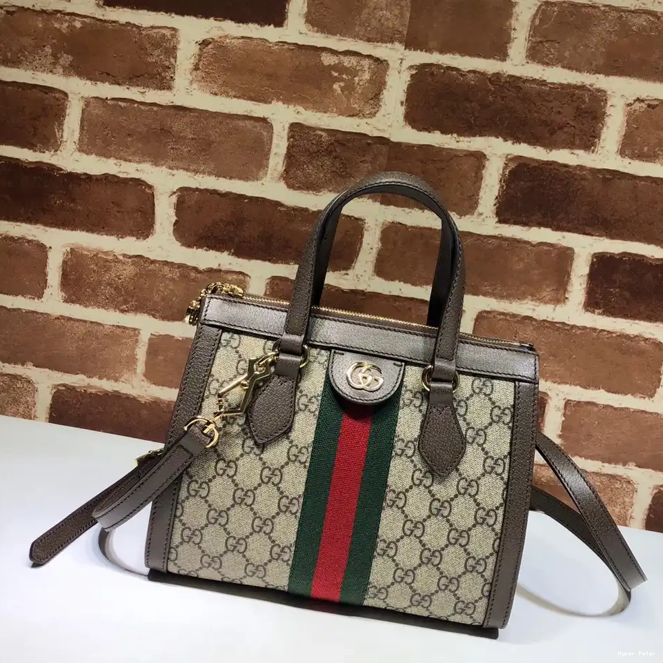 Hyperpeter Gucci bag small tote Ophidia GG 0210