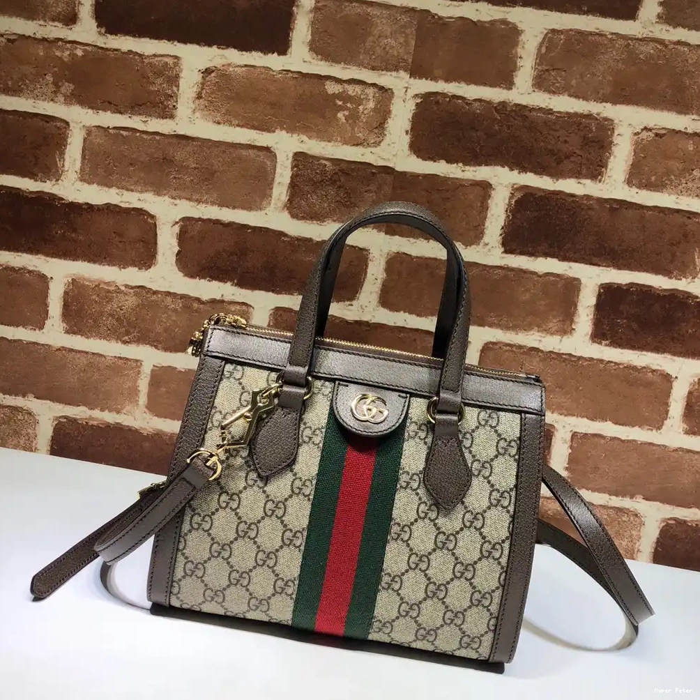 Hyperpeter Gucci bag small tote Ophidia GG 0210