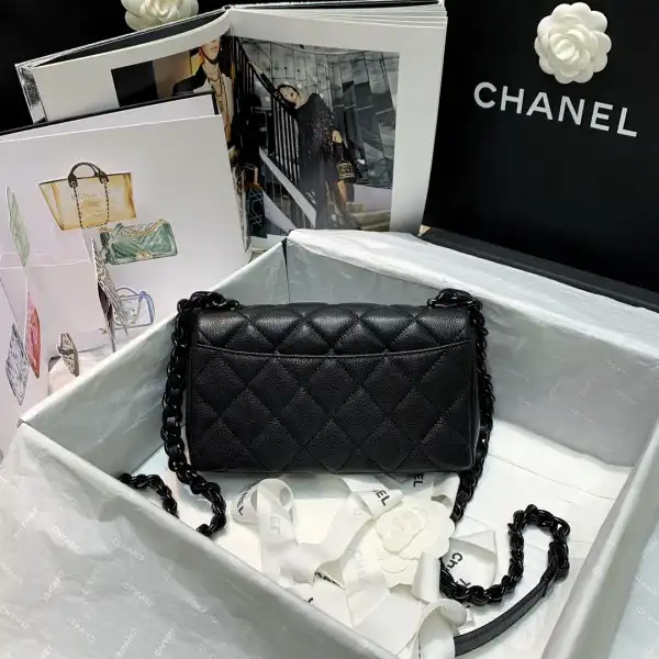 Hyper Peter CHANEL SMALL FLAP BAG 0205