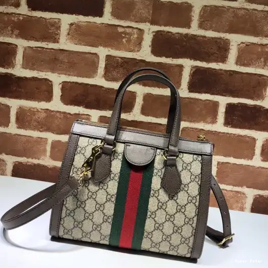 Hyperpeter Gucci bag small tote Ophidia GG 0210